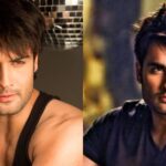 Vivian Dsena Biography